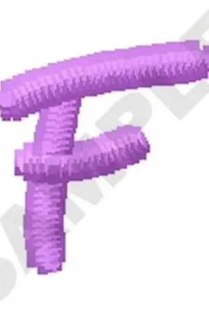 Ziggy Zoe Uppercase F Embroidery Design Shop Now