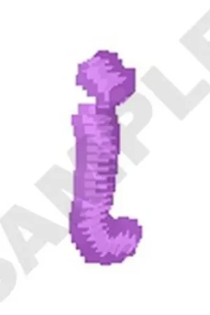 Ziggy Zoe Lowercase I Embroidery Design Buy Today