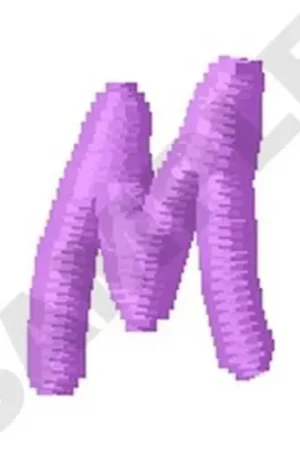 Fresh Stock Ziggy Zoe Uppercase M Embroidery Design