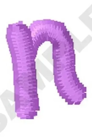 Price Cut Ziggy Zoe Lowercase N Embroidery Design