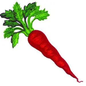 Money Back Guarantee Carrot Embroidery Design