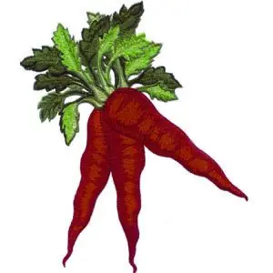 Carrots Embroidery Design Best Seller