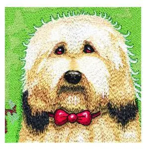 Sheepdog Embroidery Design Exclusive Offer