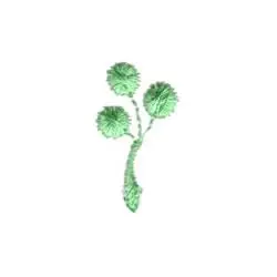 Express Delivery Heirloom Berries Embroidery Design