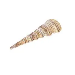 Variegated Seashell Embroidery Design Markdown