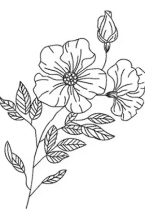 Order Now Floral Outline Embroidery Design