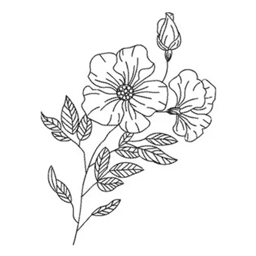 Order Now Floral Outline Embroidery Design