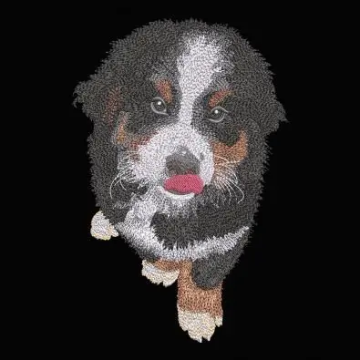 Bernese Mountain Dog Embroidery Design Limited Offer