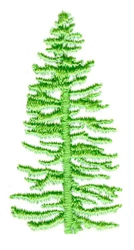 Tall Pine Tree Embroidery Design Trusted Brand
