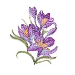 Variegated Crocus Embroidery Design Money Back Guarantee