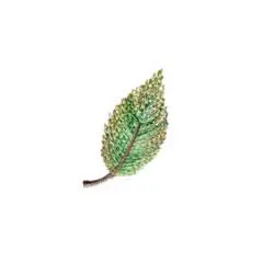 Variegated Birch Leaf Embroidery Design Must Have