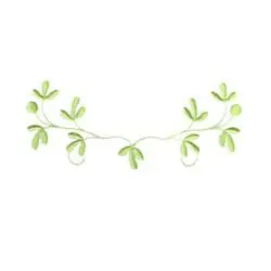 Heirloom Floral Border Embroidery Design Hot Deal