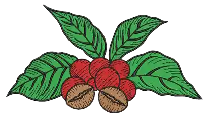 Coffee Plant Embroidery Design Certified