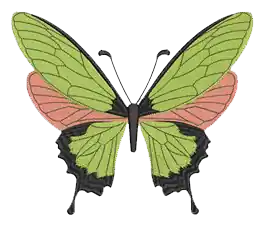 Fast Shipping Green Butterfly Embroidery Design