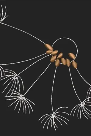 Dandelion Flower Embroidery Design Order Now