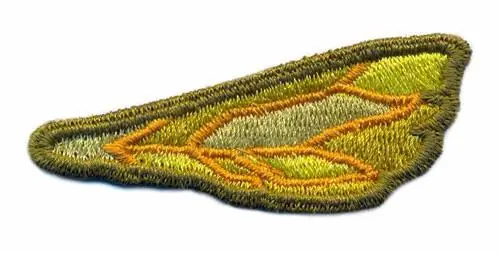 Same Day Shipping 3-D Dragonfly Wing Embroidery Design