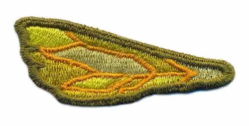 3-D Dragonfly Wing Embroidery Design Fast Shipping