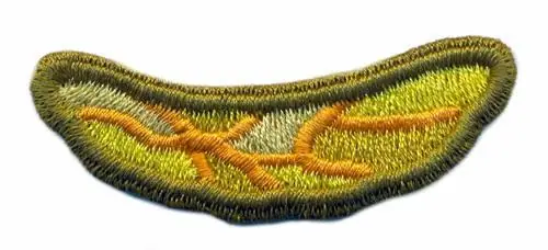 3-D Dragonfly Wing Embroidery Design Viral