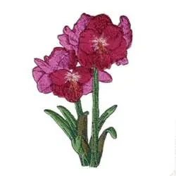 Amaryllis Blooms Embroidery Design Limited Offer