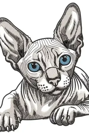 Next Day Delivery Sphinx Cat Embroidery Design