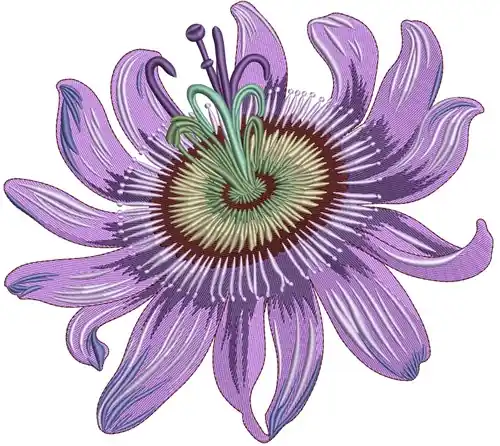 Passionflower Embroidery Design Professional Grade
