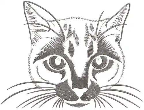 Cat Face Embroidery Design Save Now