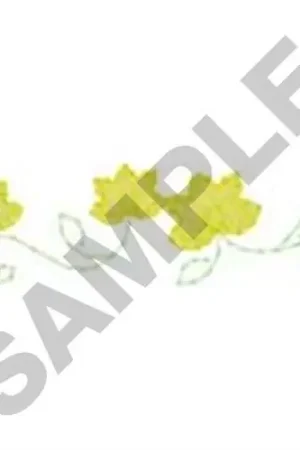 Money Back Guarantee Small Flowers Border Embroidery Design