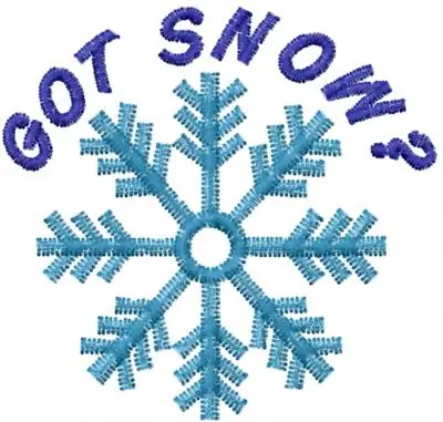 GOT SNOW? Embroidery Design Shop Now