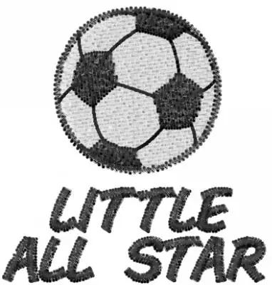 Free Shipping LITTLE STAR Embroidery Design