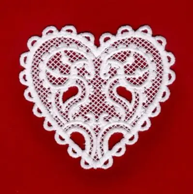 Today Only Paisley Lace Heart Embroidery Design