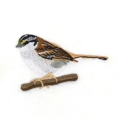 Grab Now White Throated Sparrow Embroidery Design