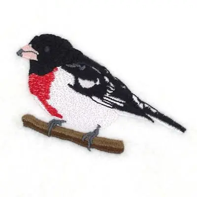 Rose Breasted Grosbeak Embroidery Design Professional Grade