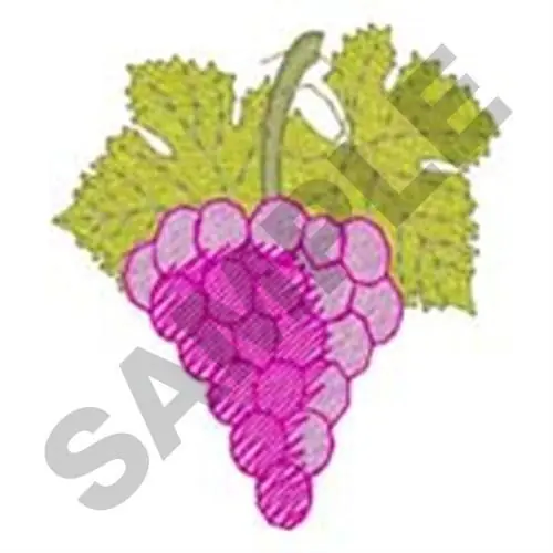 Small Grapes Border Embroidery Design Low Price