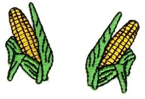 Corn Cobs Embroidery Design Buy Today