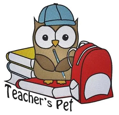 Factory Price Cute School owl Teachers Pet Embroidery Design