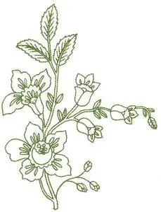 Blooms and Buds Embroidery Design Last Chance