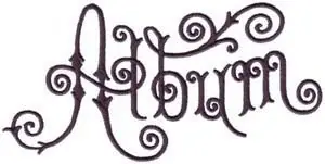 While Supplies Last Album Swirl Embroidery Design