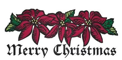 Price Drop Poinsettia Border Embroidery Design