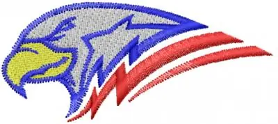 America Eagle Embroidery Design Top Pick