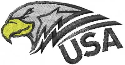 Eagle America USA Embroidery Design Low Price