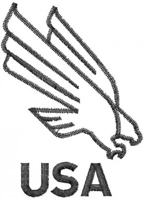 Affordable Eagle Outline USA Embroidery Design