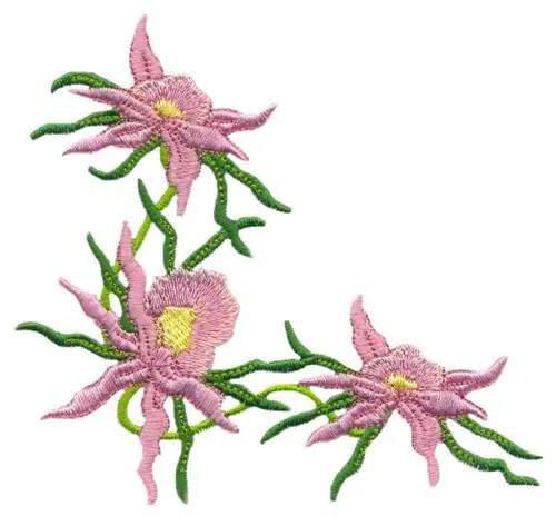 Budget Star Orchid Corner Embroidery Design