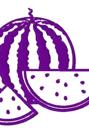 Authentic Watermelon Slices Outline Embroidery Design