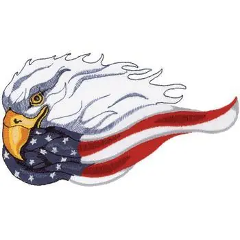 Eagle & American Flag Embroidery Design Weekend Sale