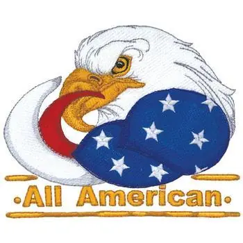 All American Embroidery Design Handmade