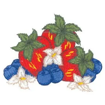 Patriotic Fruit Embroidery Design Free Delivery