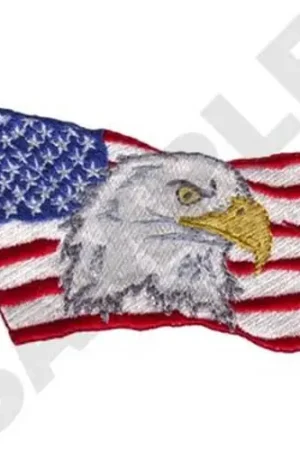 Last Chance Eagle With Flag Embroidery Design