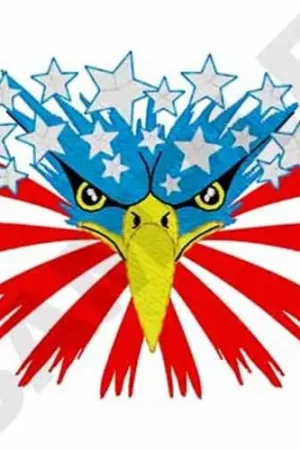 Eagle Face Embroidery Design Today Only