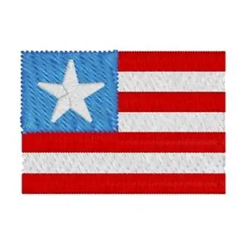 Save Now American Flag Embroidery Design