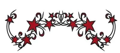 Factory Price Star Swirl Border Embroidery Design